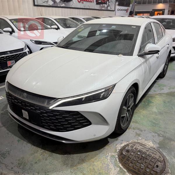 بي واي دي كوين L DM-i 2024 للبيع في العراق -  بغداد